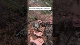 ODB rebuilding Off Grid Cabin Pt 3 shortsvideo shorts viralvideo outdoorcooking outdoors [upl. by Martinson]