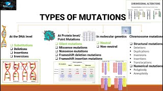 Mutations And Types Of Mutations [upl. by Steele481]