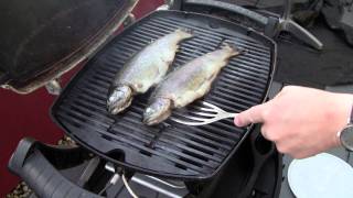 Forelle vom Grill Ganzen Fisch grillen Anleitung Rezept Weber Q100  Disturbed Cooking Ep 40 [upl. by Jennee]