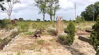 Creating A New Irish Cottage Garden  Installing The Rocks  Episode 2 [upl. by Doralynn]