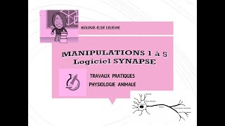 Manipulations Logiciel Synapse [upl. by Lona]