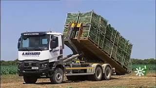 Complejo Agrícola Las Lomas en Vejer de la Frontera Cádiz [upl. by Malvino465]