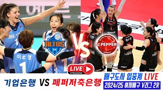 202425 여자배구 V리그 IBK기업은행 VS 페퍼저축은행 페퍼는 언제까지 무기력 독감 배구할까 배구도사 생중계 LIVE [upl. by Iaverne]