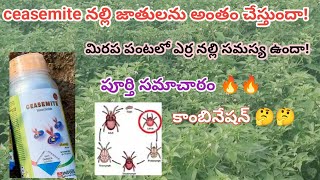 ceasemite insecticide uses in Telugu  ceasemite insecticide  erra nalli nivarana in mirchi  nalli [upl. by Nyladnor]