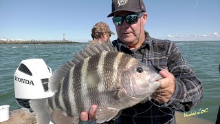 Hooked On OC  Episode 414  Lucky Break on the South Jetty [upl. by Anaet]