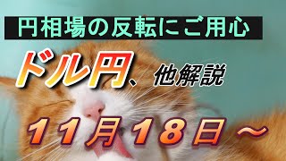 【TAKA FX】円相場の買戻しに要警戒！ ドル円他各通貨の環境認識解説。各種指数、GOLDなど 11月18日月～ [upl. by Dulcle384]