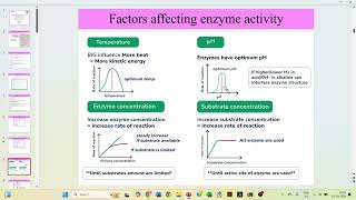 Enzyme Kinetics and Inhibition  NPTEL  Fundamentals of Protein Chemistry  Week 7  Live QampA [upl. by Verla]