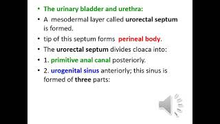 Embryology  Urinary 2 [upl. by Wandy934]