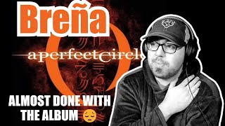 I DONT WANT THIS ALBUM TO END A PERFECT CIRCLE quotBreñaquot  REACTION [upl. by Abih122]