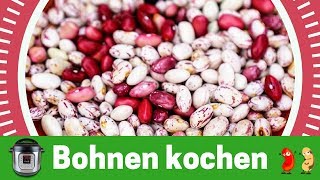 Bohnen kochen  ganz einfach im Instant Pot [upl. by Bruni396]