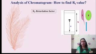 Paper ChromatographyDrsuchetas interactive class [upl. by Chaing]