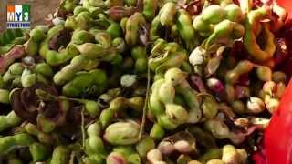 Pithecellobium Dulce Bean  Camachile  Seema Chintakaya  street food [upl. by Estrella]