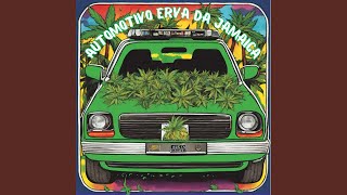 AUTOMOTIVO ERVA DA JAMAICA [upl. by Aborn969]