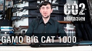 Gamo Big Cat 1000 установка газовой пружины замена манжеты стрельба через quotхронquot [upl. by Manus]