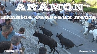 ARAMONBandido Taureaux Neufs26052019 [upl. by Kato]