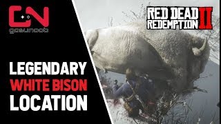 Red Dead Redemption 2  Legendary White Bison Location [upl. by Ahsemit]