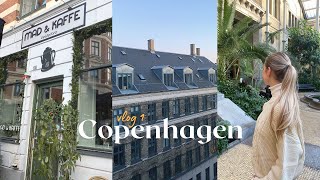 COPENHAGEN DENMARK  TRAVEL VLOG  Sightseeing Air BnB Tour amp Yummy food Pt 1 [upl. by Ardnwahs]