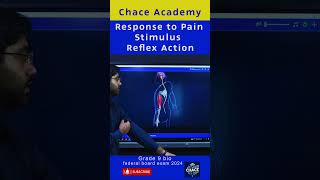 Response to Pain Stimulus  Reflex Action education ncp [upl. by Airotnahs]