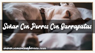 SOÑAR CON PERROS🐶 CON GARRAPATAS🐾🐩 SIGNIFICADO DE SOÑAR CON GARRRAPATAS🐝 EN MI PERRO🐶🐕‍🦺 [upl. by Eppesiug]