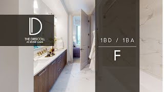 F Floorplan 1bd  1 ba [upl. by Priscilla]