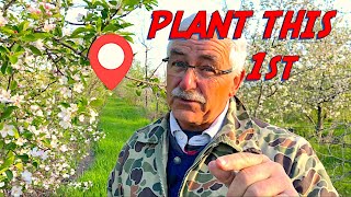 PLANT THIS Before Planting YOUR Fruit Trees [upl. by Yngad]