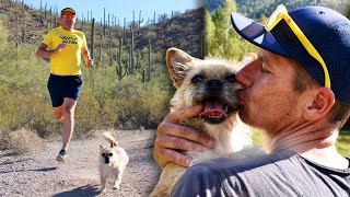 Ultramarathon Runner Rescues Running Dog [upl. by Romo]