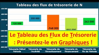 Tableaux de Bord de Gestion  Le Tableau des Flux de Trésorerie sous forme graphique [upl. by Ferriter974]