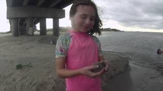 Jumping off the Longport Bridge Ocean City NJ [upl. by Novad]