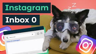 How to set up Instagram auto reply messages and take a dognap [upl. by Burkhart412]