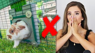 REACTING TO OUR SUBSCRIBERS RABBIT HABITATS amp CALLING THEM 📞  Pt 5 [upl. by Mendelson881]