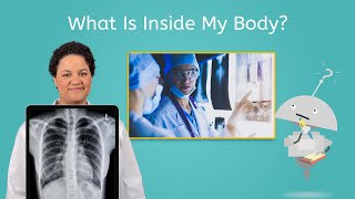 What Is Inside My Body  Science All Around Me for Kids [upl. by Bilow]