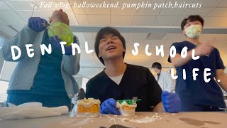 life in dental school vlog  bad haircut  dressing up for halloween  messy pumpkin patch trip [upl. by Minardi367]