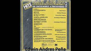 Hits Bailables De Diciembre A Diciembre Volumen 8 LP Completo 1981 [upl. by Latnahc]