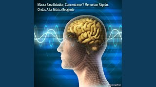 Música Para Estudiar Concentrarse Y Memorizar Rápido Ondas Alfa Música Relajante [upl. by Xanthus]