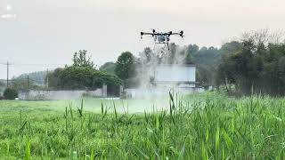 H200 Drone Spraying [upl. by Ytsirhc]