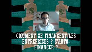 Financement 3  Comment se financent les entreprises  Sautofinancer [upl. by Shakespeare]