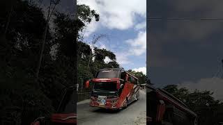 red roossmawir jaya automobile busmania bismaniaindonesia pecintabis bussmania95 [upl. by Buna]