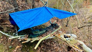 Im building a BUSHCRAFT SURVIVAL SHELTER on a tree in the forest🏕️🌲BUSHCRAFT camping🔥🛖 [upl. by Marks]