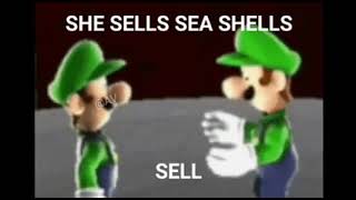 luigi talks about sea shells [upl. by Austin]