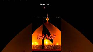 Janum Ali Ali  shorts  karbala  viralvideo [upl. by Goss17]