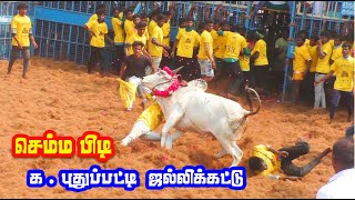 செம்ம பிடி kputhupatti jallikattu 2024 [upl. by Vergos]