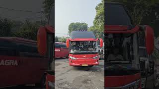 Suite Combi Bus Agra Mas Bogor  Pacitan busmania bus agramas automobile [upl. by Sophy]