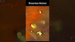 Brownian Motion sciencefacts shorts [upl. by Aslin]