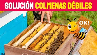 Colmena Llena Solo con DOS PASOS 💪🐝🔥 [upl. by Sacram913]