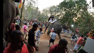 Elephant Attack while fest  routemastertoday [upl. by Nayek]