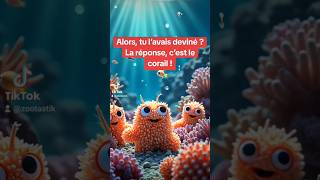 Le corail  un maître de la filtration naturelle  🌊🪸ocean corail nature mignon [upl. by Wendel]