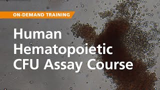 OnDemand Training Human Hematopoietic CFU Assay Course [upl. by Freddi]