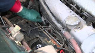 Mercedes 300SEL 63 Rescue Part 3 Inspecting for Internal Engine Rust [upl. by Edrahc227]