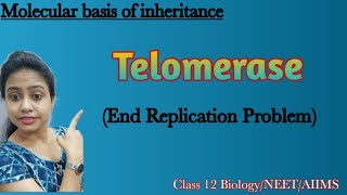 Telomere amp TelomeraseEnd replication problem in EukaryotesMolecular basis of InheritanceClass 12 [upl. by Schaumberger]