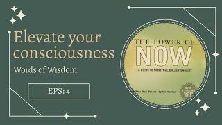 The Power Of Now by Eckhart Tolle Summary Key Takeaways Podcast [upl. by Carn]